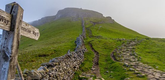 Ren To Take On Three Peaks!